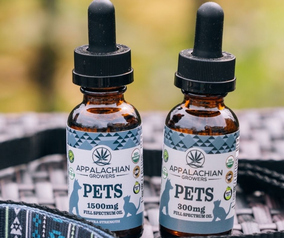 Can Cats Take CBD Oil Safely and Effectively?