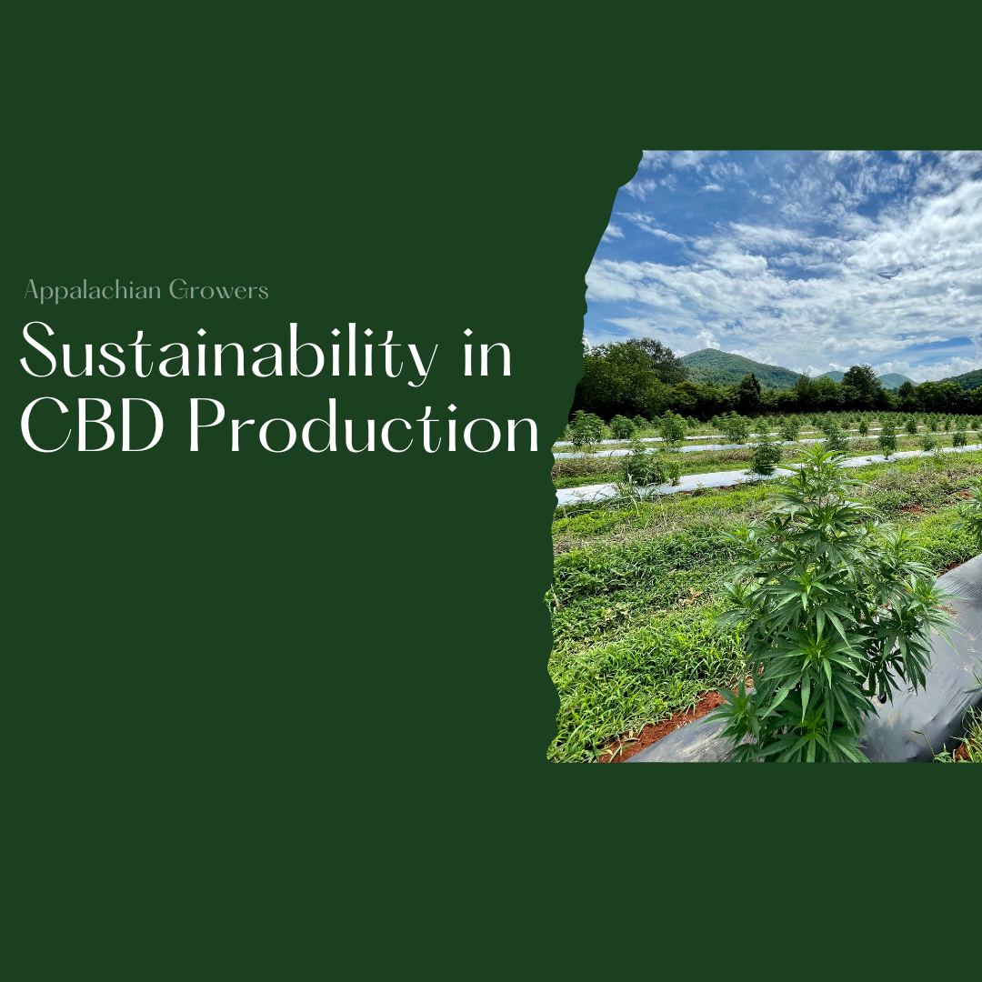 Sustainability in CBD Production