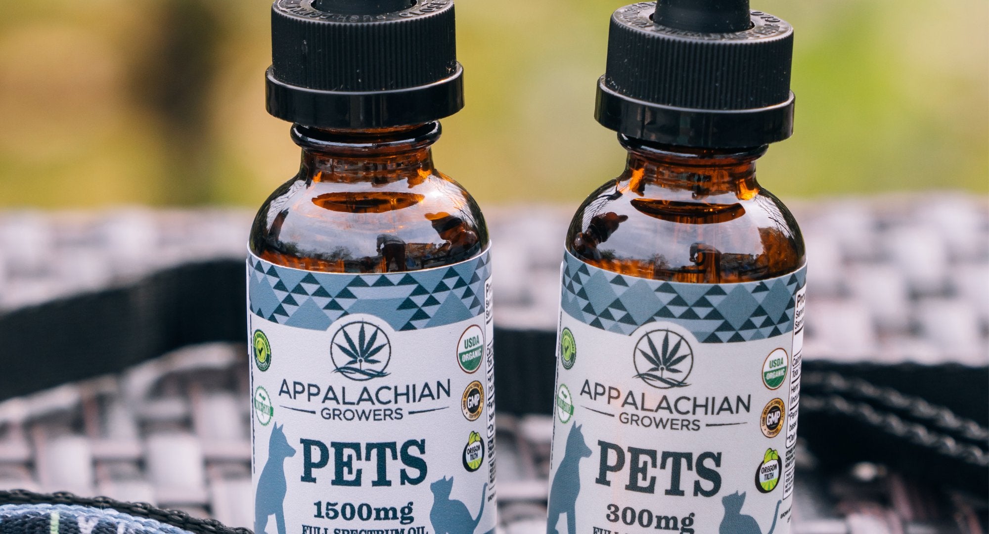 CBD Oil For Cats