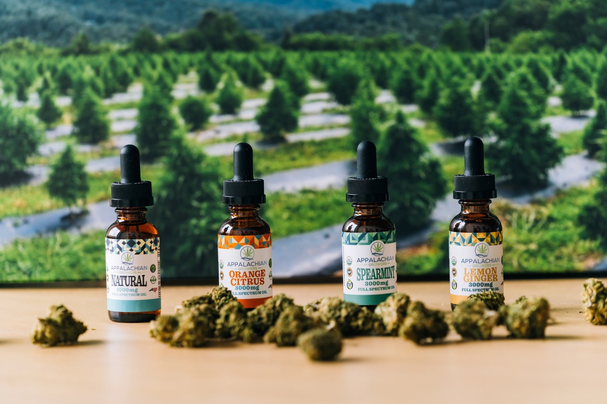Premium CBD Oil