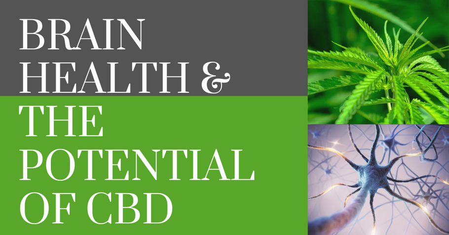 CBD & Brain Health