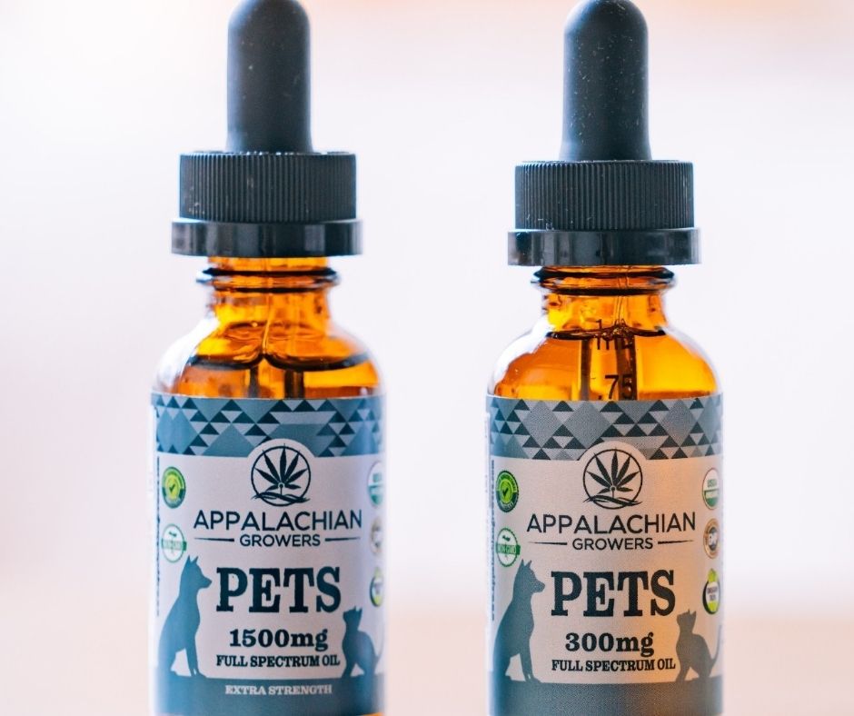 Can Dogs Have CBD Oil? From Our Fields to Fido