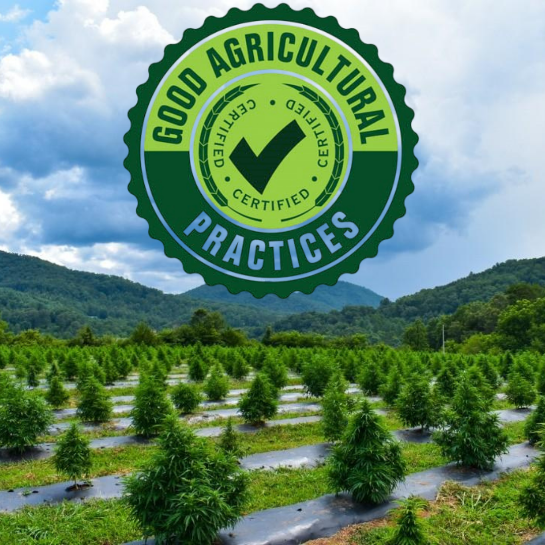 Appalachian Growers is now GAP Certified!