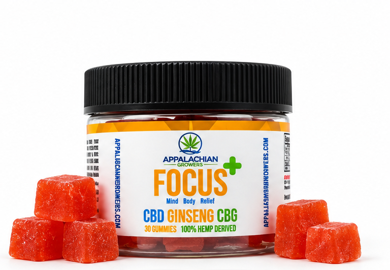Focus Gummy